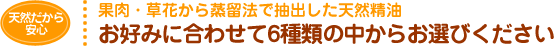 お好みに合わせて6種類の中からお選びください