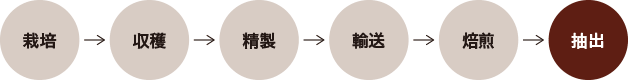 栽培→収穫→精製→輸送→焙煎→抽出