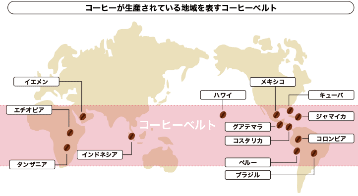 コーヒーが生産されている地域を表すコーヒーベルト