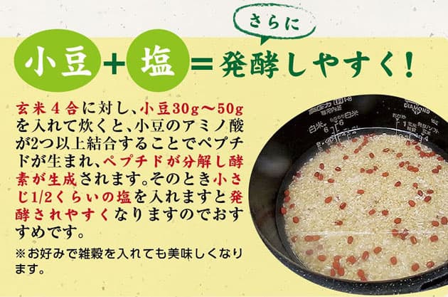 小豆+塩=さらに、発酵しやすく!