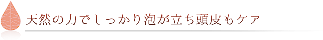 天然の力でしっかり泡が立ち頭皮もケア