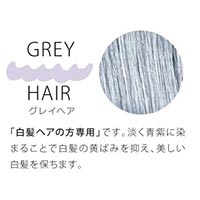 エコノワ 太陽と大地のヘナ グレイヘア 100g