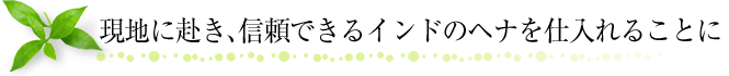 現地に赴き、信頼できるインドのヘナを仕入れることに