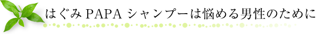 はぐみPAPAシャンプーは悩める男性のために