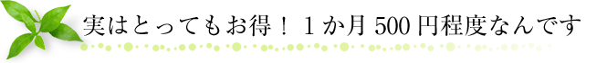 実はとってもお得！　1か月500円程度なんです