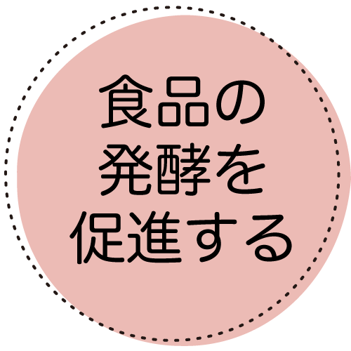 食品の発酵を促進する
