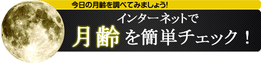 今日の月齢を調べてみましょう。