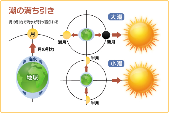 潮の満ち引き