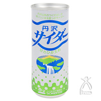 創健社 丹沢サイダー 250ml