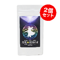 元気快活の素 66g（220mg×約300粒）×2個セット