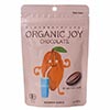 【歳末セール】【冬季限定】日新化工 ＯＲＧＡＮＩＣ　ＪＯＹ　ＣＨＯＣＯＬＡＴＥ ミルク/60g