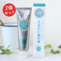 元気白い歯の素 （ＧＳＥ練歯みがき） 100g×2個セット