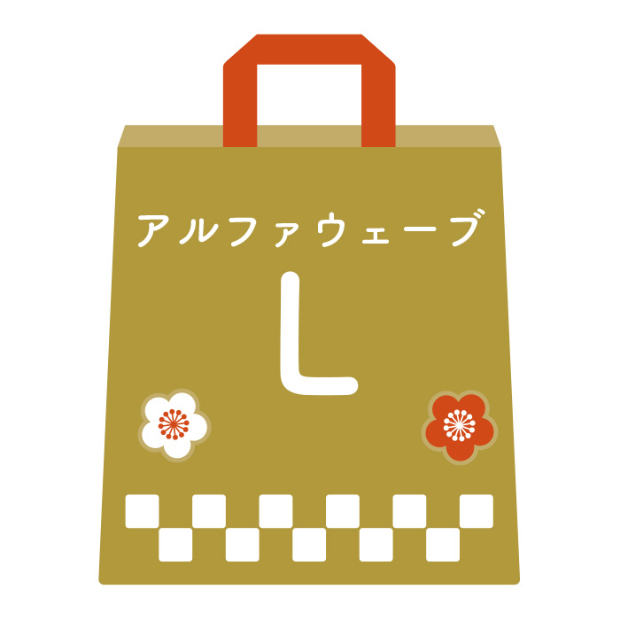 2026福袋 アルファウェーブL （ハンドウォーマーのサイズをお選びください）