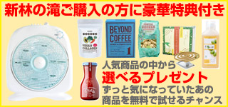 新林の滝