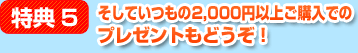 特典5：そしていつもの2,000円以上のプレゼントもどうぞ