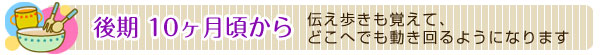 後期10ヶ月頃から　伝え歩きも覚えて、どこへでも動き回るようになります