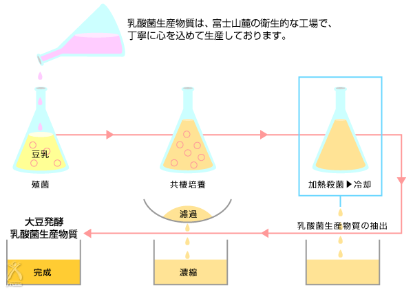 ビオネ：乳酸菌生産物質ができるまで