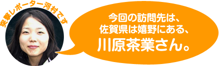 今回の訪問先は、佐賀県は嬉野にある、川原茶業さん