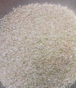 吉野ヶ里のひかり 光輝（品種：ヒノヒカリ） 玄米 5kg