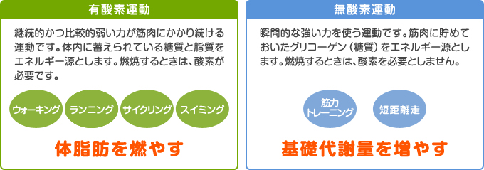 有酸素運動と無酸素運動