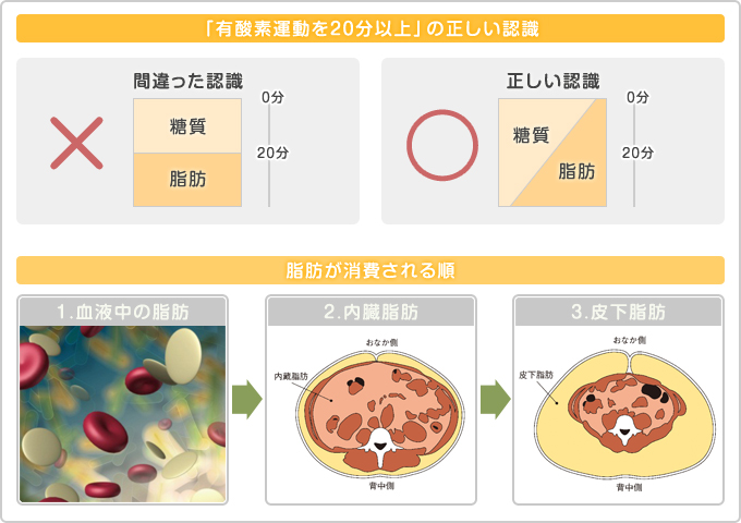 「有酸素運動を20分以上」の正しい認識