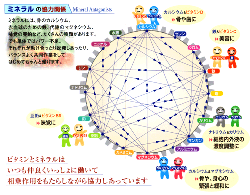 ミネラルの協力関係