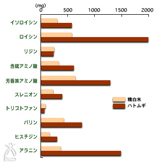 ハトムギ酵素　有機ハトムギ若葉入り：ハトムギと精白米の違い