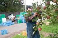 りんご農家さん