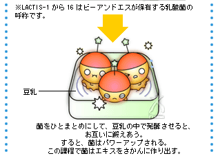 豆乳の中で発酵