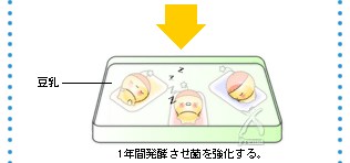 1年間発酵させ菌を強化