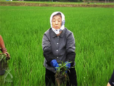 須田ミヱ子さん自らの除草