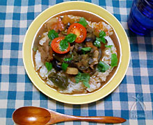 夏野菜ののっけカレーベトナム風