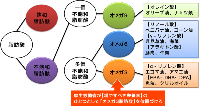 厚生労働省が【増やすべき栄養素】のひとつとして「オメガ3脂肪酸」を位置づける