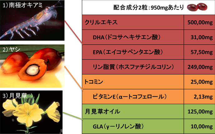 「南極の宝石」に含まれる主要な成分