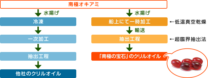 南極オキアミ