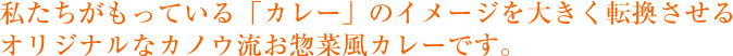 私たちがもっている「カレー」のイメージを大きく転換させるオリジナルなカノウリュウお惣菜風カレーです。