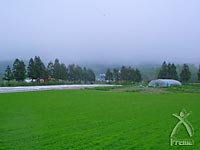 霧の向こうにある山から良質の地下水が供給されます