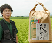 佐賀県白石町の岩永さんの自然栽培米