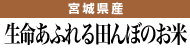 生命あふれる田んぼのお米