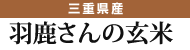 羽鹿さんの黒米・玄米