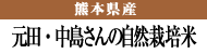 熊本県 自然栽培ヒノヒカリ