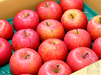 EM栽培で育てられた安心安全なりんご