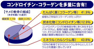 サメの骨の成分