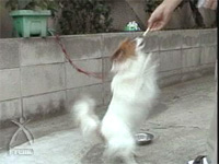 ジャンプ