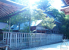 須佐神社（すさじんじゃ）の写真