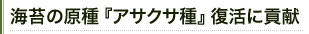 海苔の原種『アサクサ種』復活に貢献