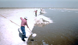 天外天塩：塩採集の風景