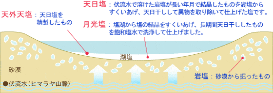 天外天塩：それぞれの違い