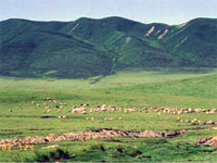 天外天塩:高原風景