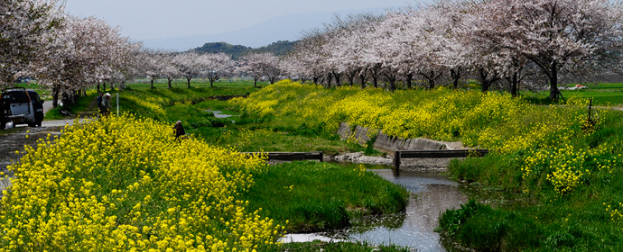 土壌の浄化